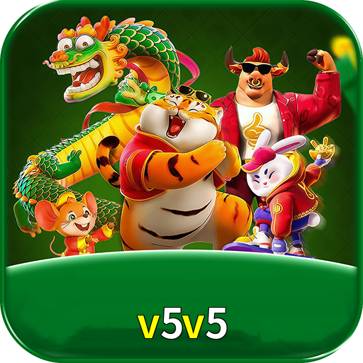 v5v5